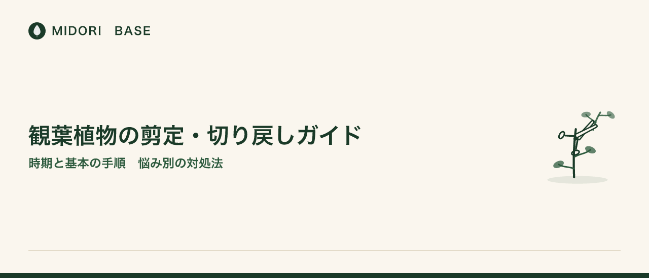 観葉植物の剪定・切り戻しガイド｜時期と基本の手順、悩み別の対処法