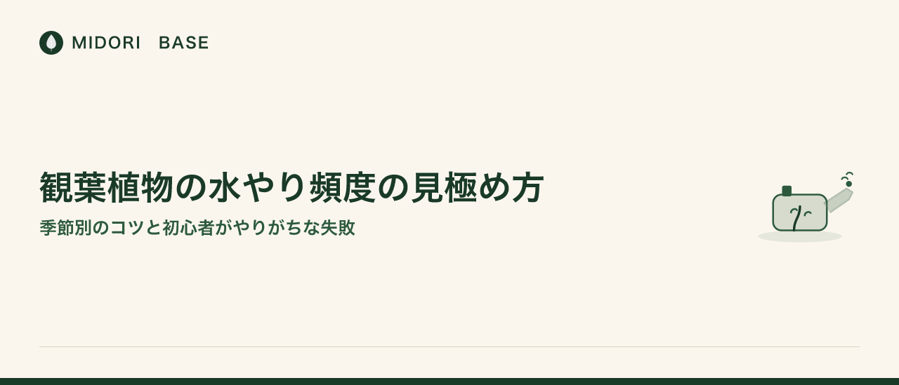 観葉植物の水やり頻度の見極め方——季節別のコツと初心者がやりがちな失敗